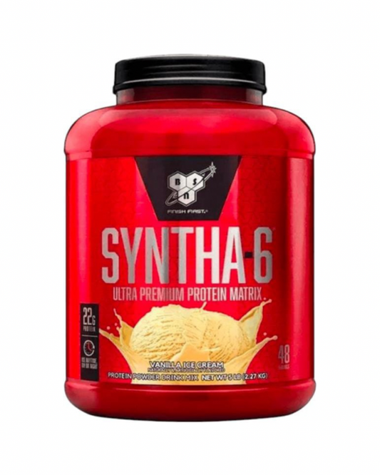 SYNTHA 6 BSN